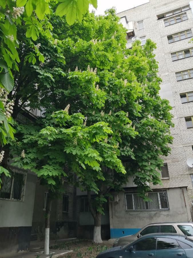 Apartments near the sea Odessa Ngoại thất bức ảnh